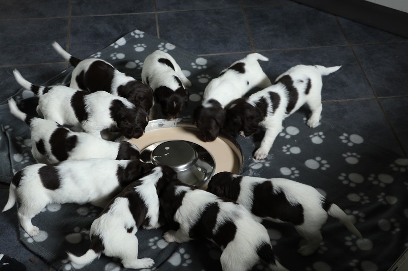 Gruppenbild alle