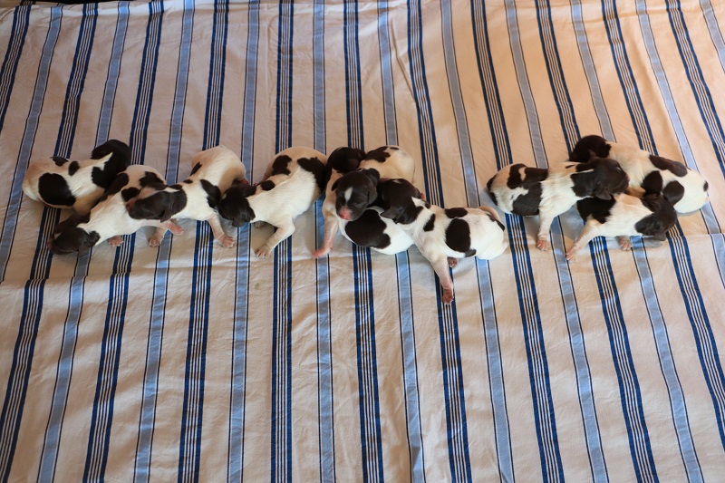 Gruppenbild alle